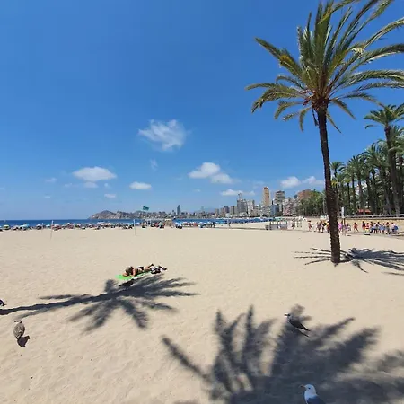 Casa De Habaneras - With Parking Space 公寓